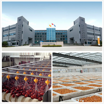 杭州超達食品 以中國式阿米巴經營重塑食品加工賽道