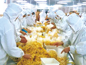食品加工及存儲產業的現狀與未來趨勢